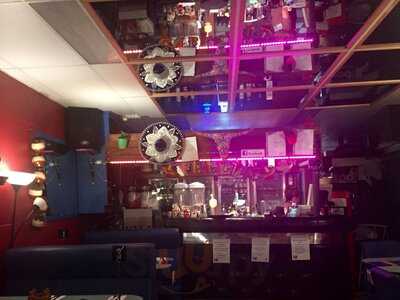 Fiesta Ole Auchenflower