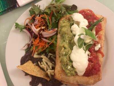 Fiesta Ole Auchenflower