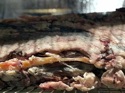 Black Hide By Gambaro Treasury Casino