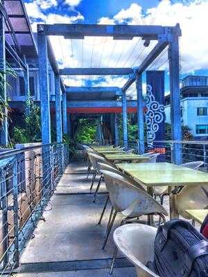 South Bank Surf Club