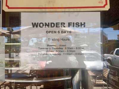 Wonder Fish