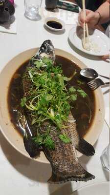 Jun Japanese - Malaysian Cuisine