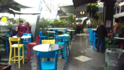 The Paddington Tavern