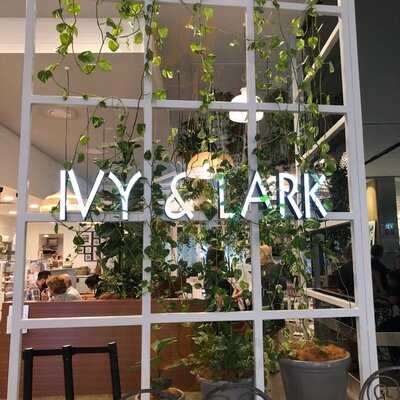 Ivy & Lark