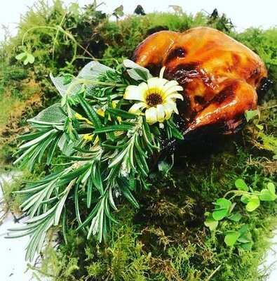 Hummingbird Bar & Restaurant