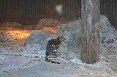 Walkabout Creek Cafe