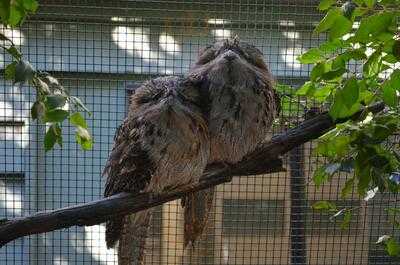 Walkabout Creek Cafe