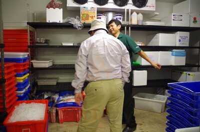 Pacific Catch Seafood