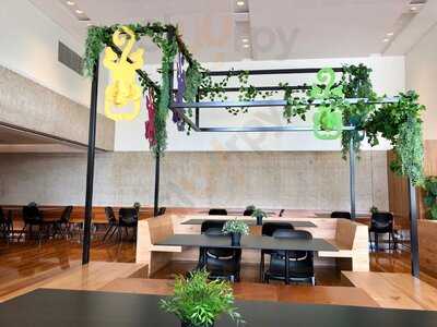 Queensland Museum Cafe