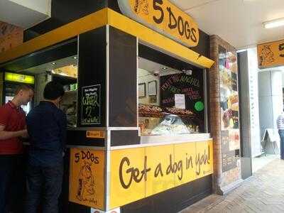 5 Dogs Meat X Vegan X Fries