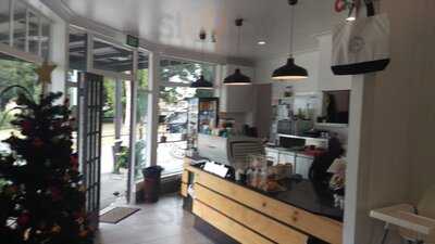 The Colombian Coffee Dealer