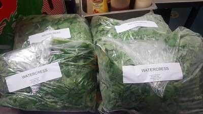 Starlight Seafood & Cafe