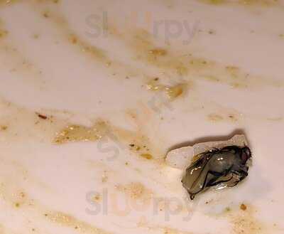 Sandgate Chinese Restaurant