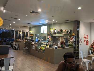 Coco Jungle Chocolate Lounge