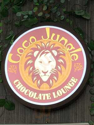 Coco Jungle Chocolate Lounge