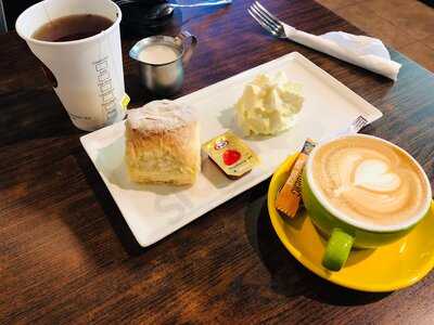 Coco Jungle Chocolate Lounge