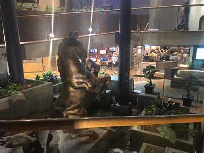 Broncos Leagues Club