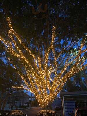 Comuna Cantina Everton Park