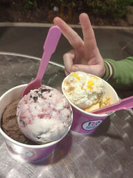 Baskin-robbins