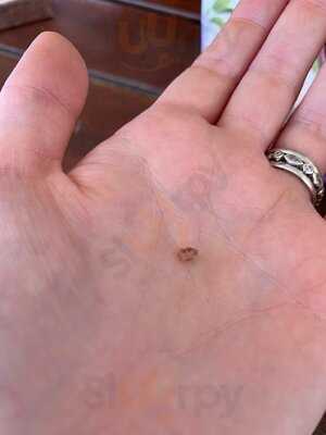 Charlies Raw Squeeze Morningside