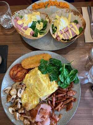 Rook : Sri Lankan Fusion