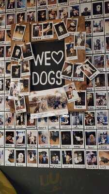 4 Pines Manly - Brew Pub