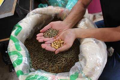 Dancing Bean Espresso