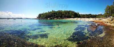 The Boathouse Shelly Beach