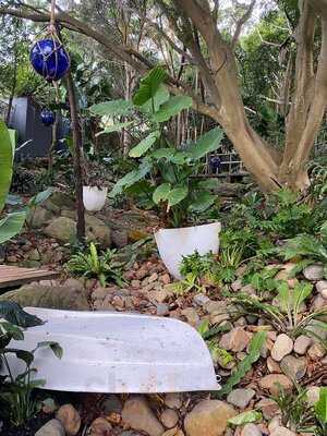 The Boathouse Shelly Beach