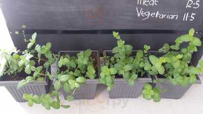 Babylon Cafe And Grill