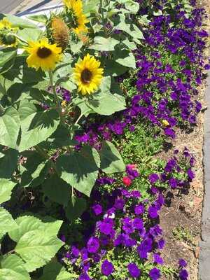 Poynton's Boulevard Cafe