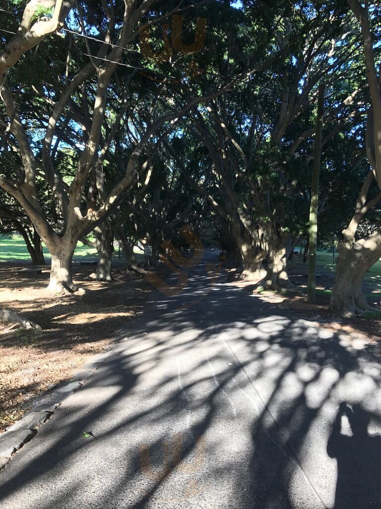 Milk Bar Watsons Bay