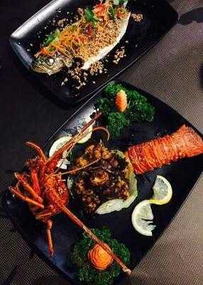 Panda In The Kitchen