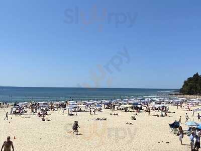 Noosa Heads Surf Life Saving Club