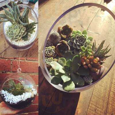 Plenty Of Everything