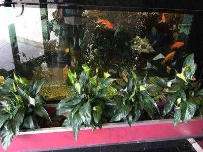 The Ringwood Chinese Restaurant