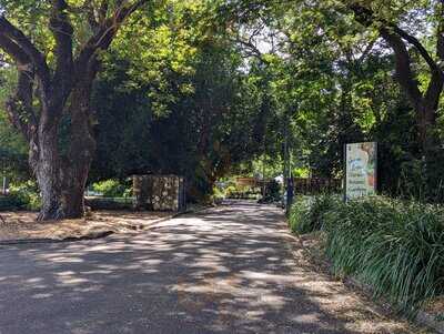 Eva's Botanic Gardens Cafe