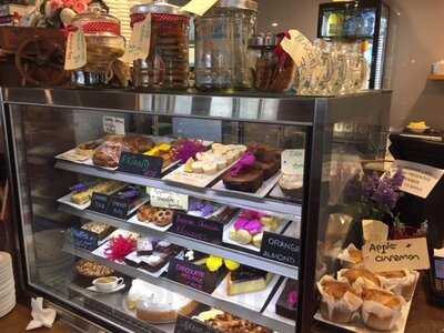 Salt Cove On Pittwater