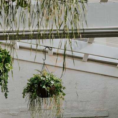 Mamma Francas Pizza Hall