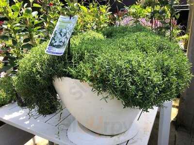 Poppy's Verandah Cafe