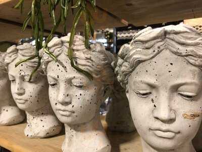 Poppy's Verandah Cafe