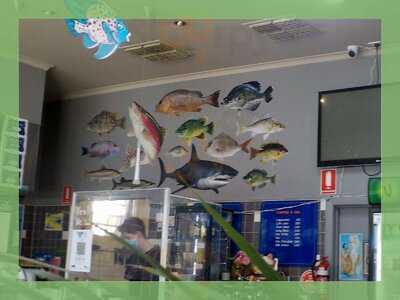 Flippin-fish & Chippery