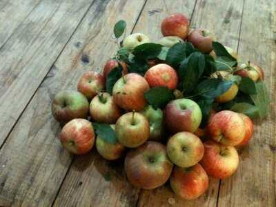 Ellie's Kitchen Foodstore