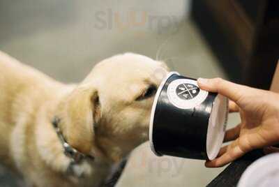 Acai Brothers Noosa Heads