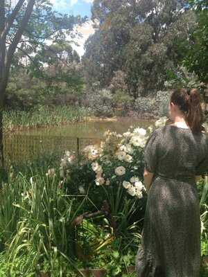 Mandurang Valley Wines