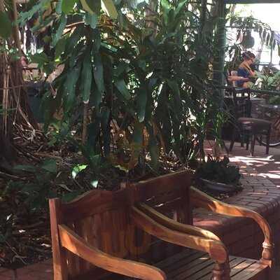 Groove Cafe And Gear