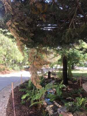 The Door Gallery Cafe