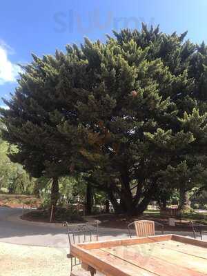 The Door Gallery Cafe