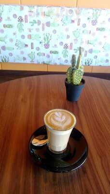 Mr Cactus Cafe