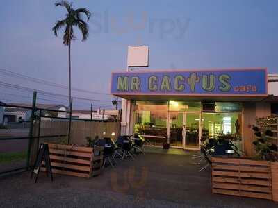 Mr Cactus Cafe